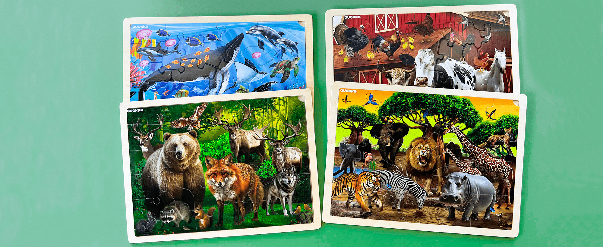 Learning Games for Boys and Girls