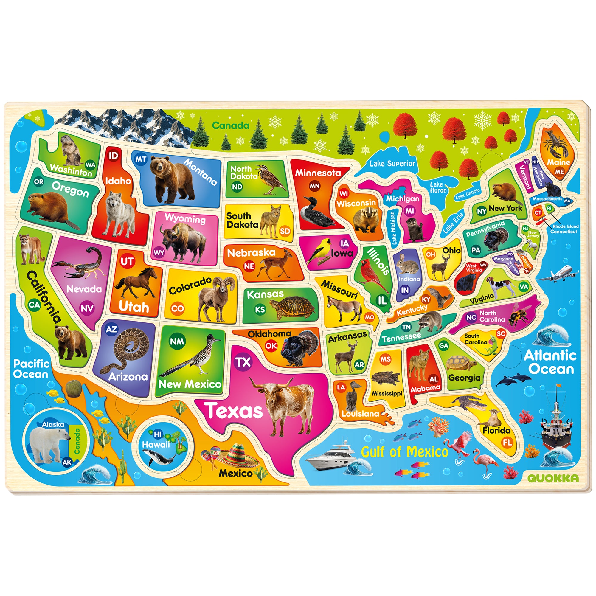 QUOKKA Wooden Puzzles for Kids - Realistic USA Map
