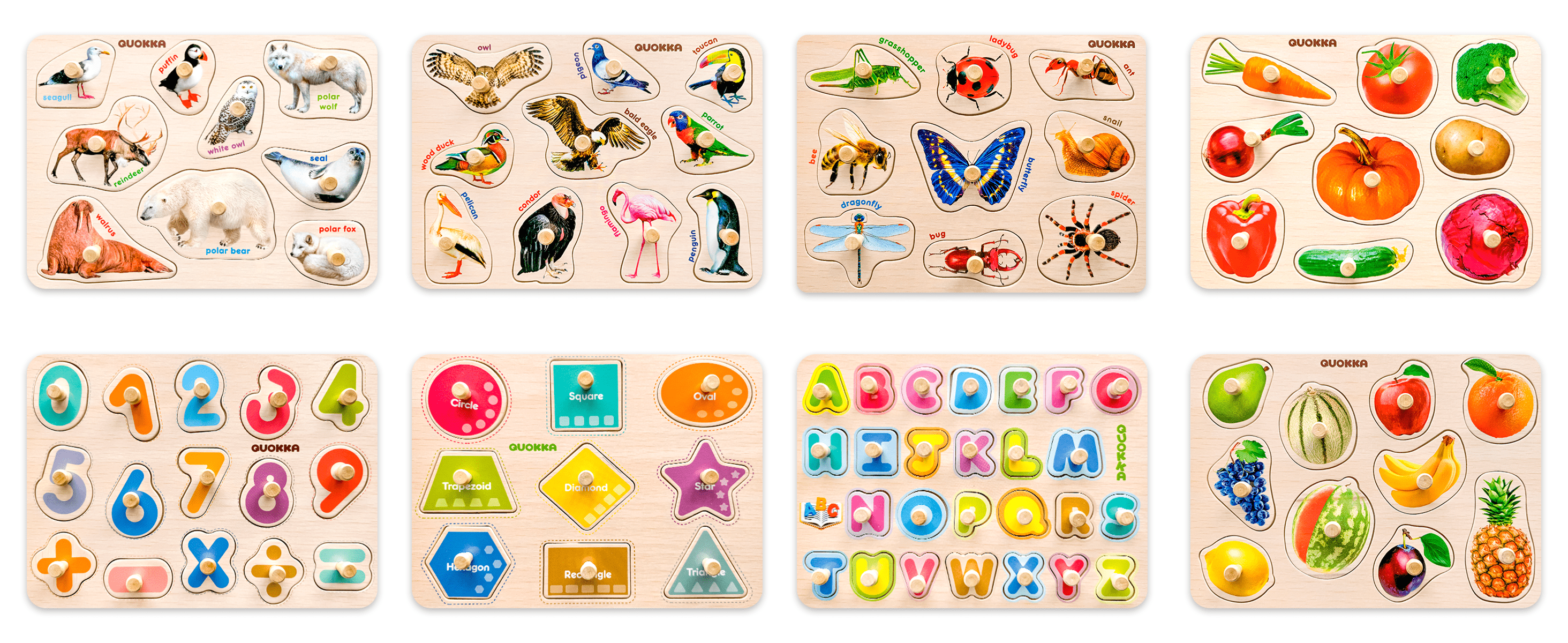 Learning Alphabet, Numbers & Animals