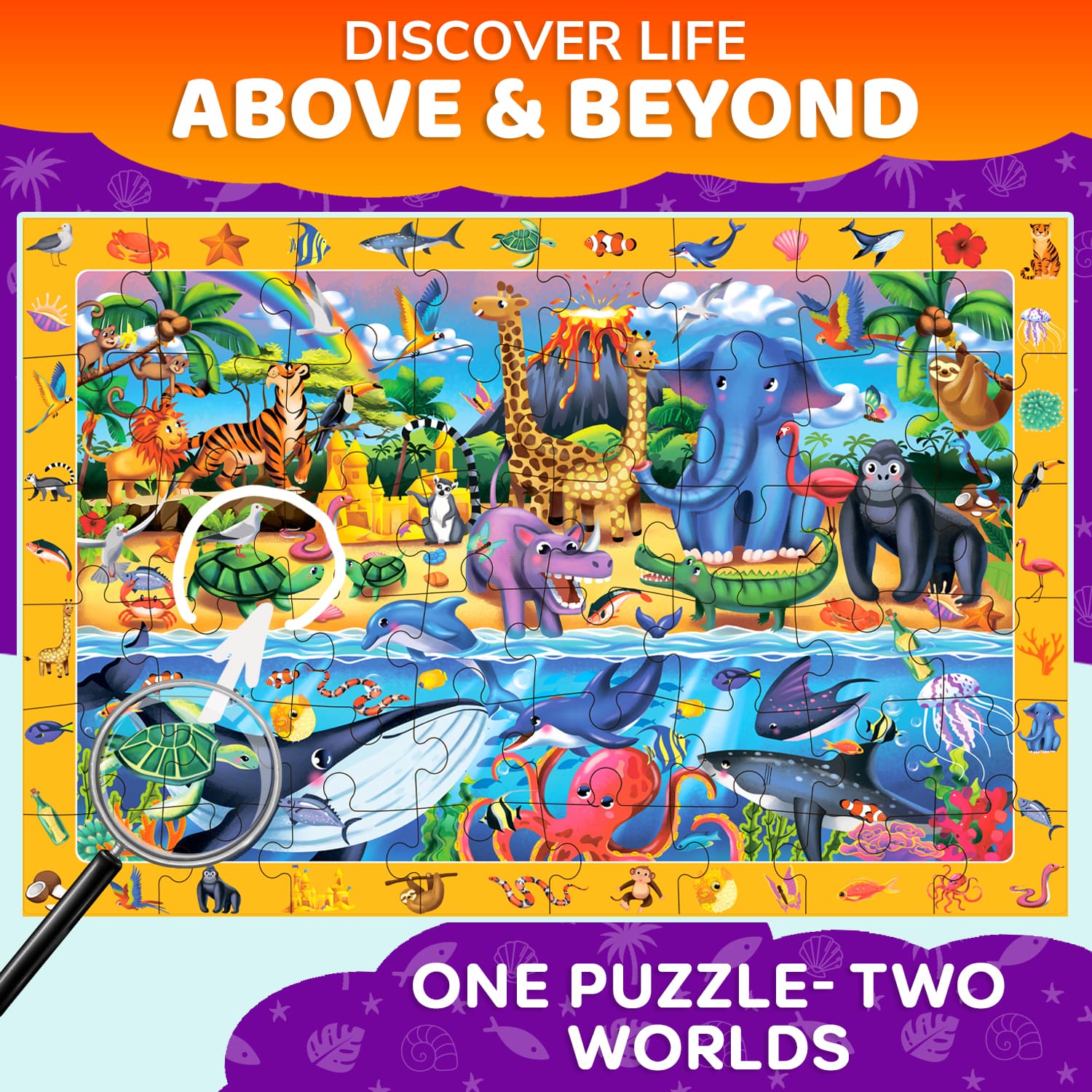 Fun Learning Activity