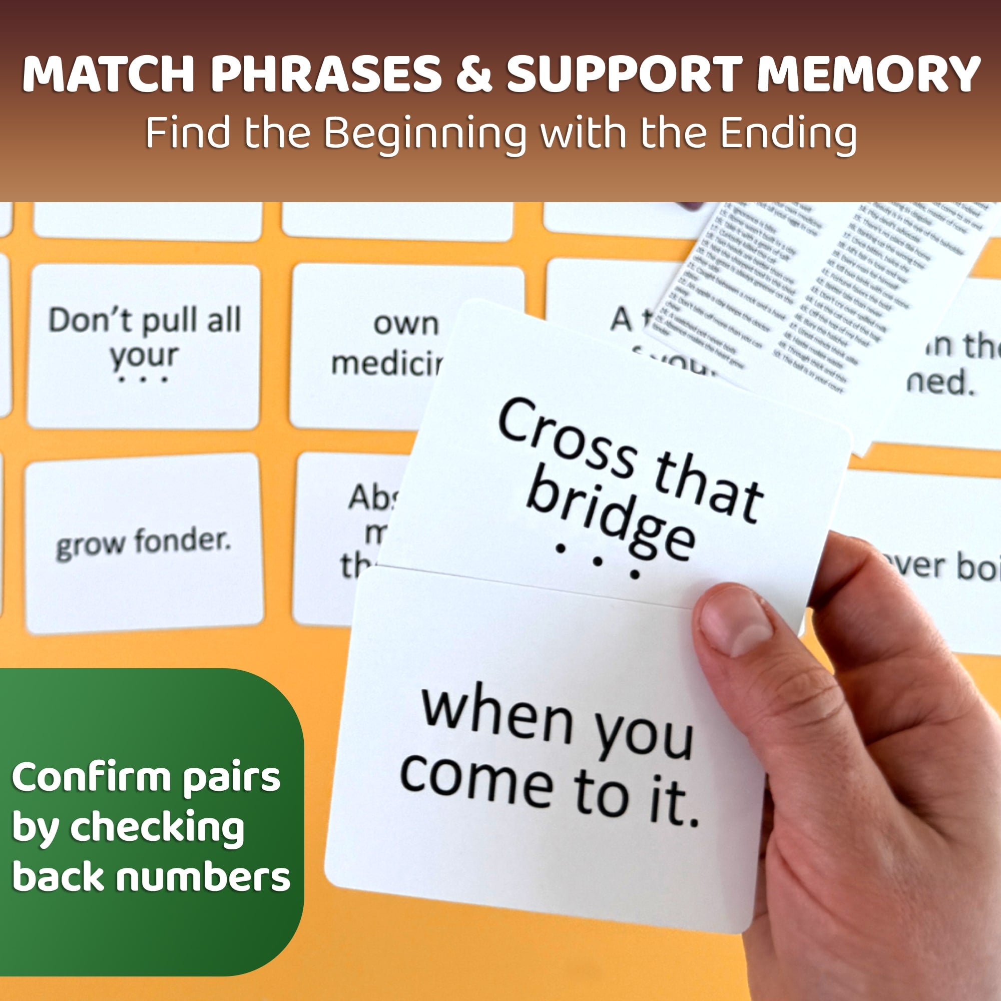 Figures of Speech Memory Card Game