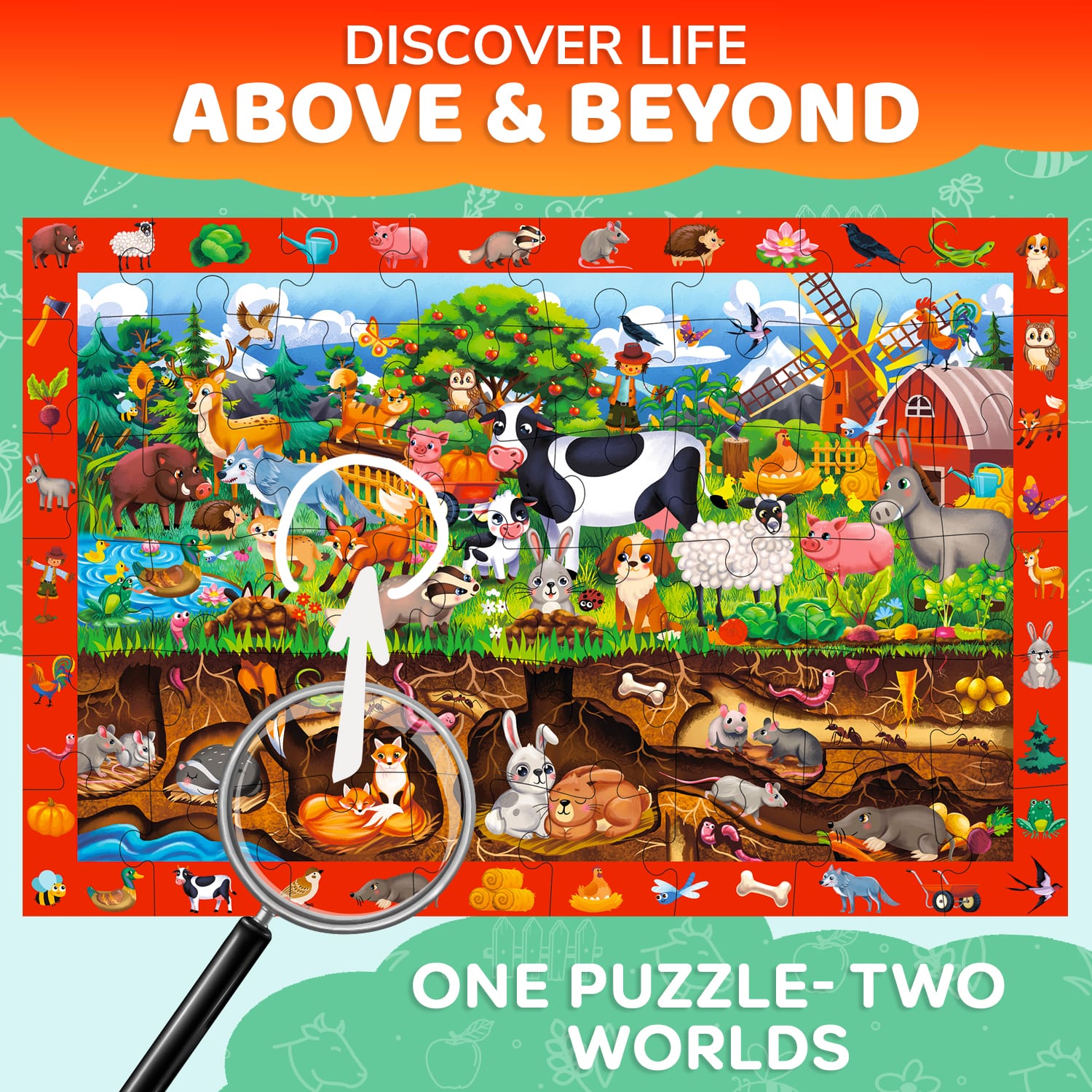 Above and Beyond Observational Scene