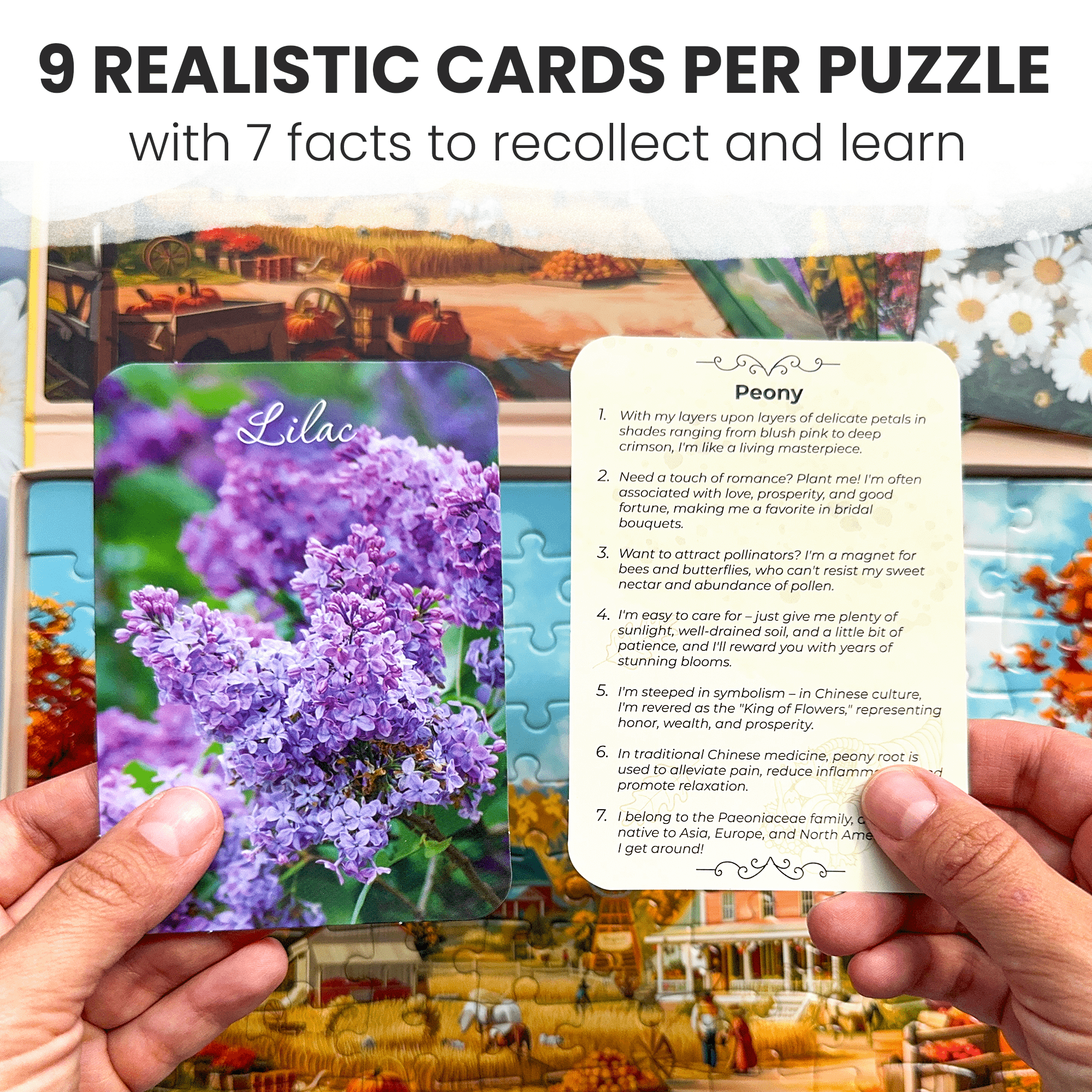 100 Pieces Alzheimers Jigsaw Puzzle Games for Adults