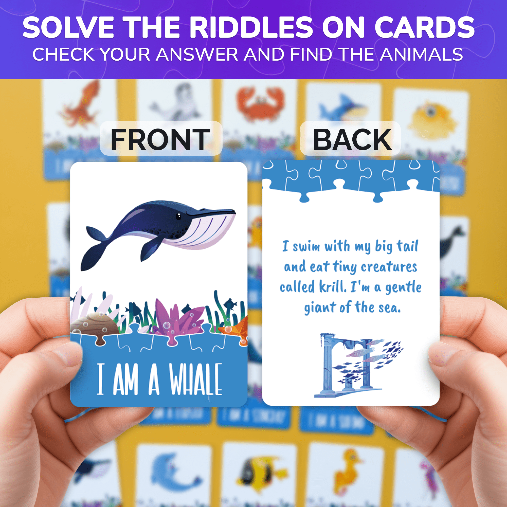 Illustrated Guessing Cards
