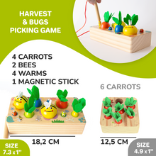 Load image into Gallery viewer, Montessori Toys Wooden Carrot Harvest
