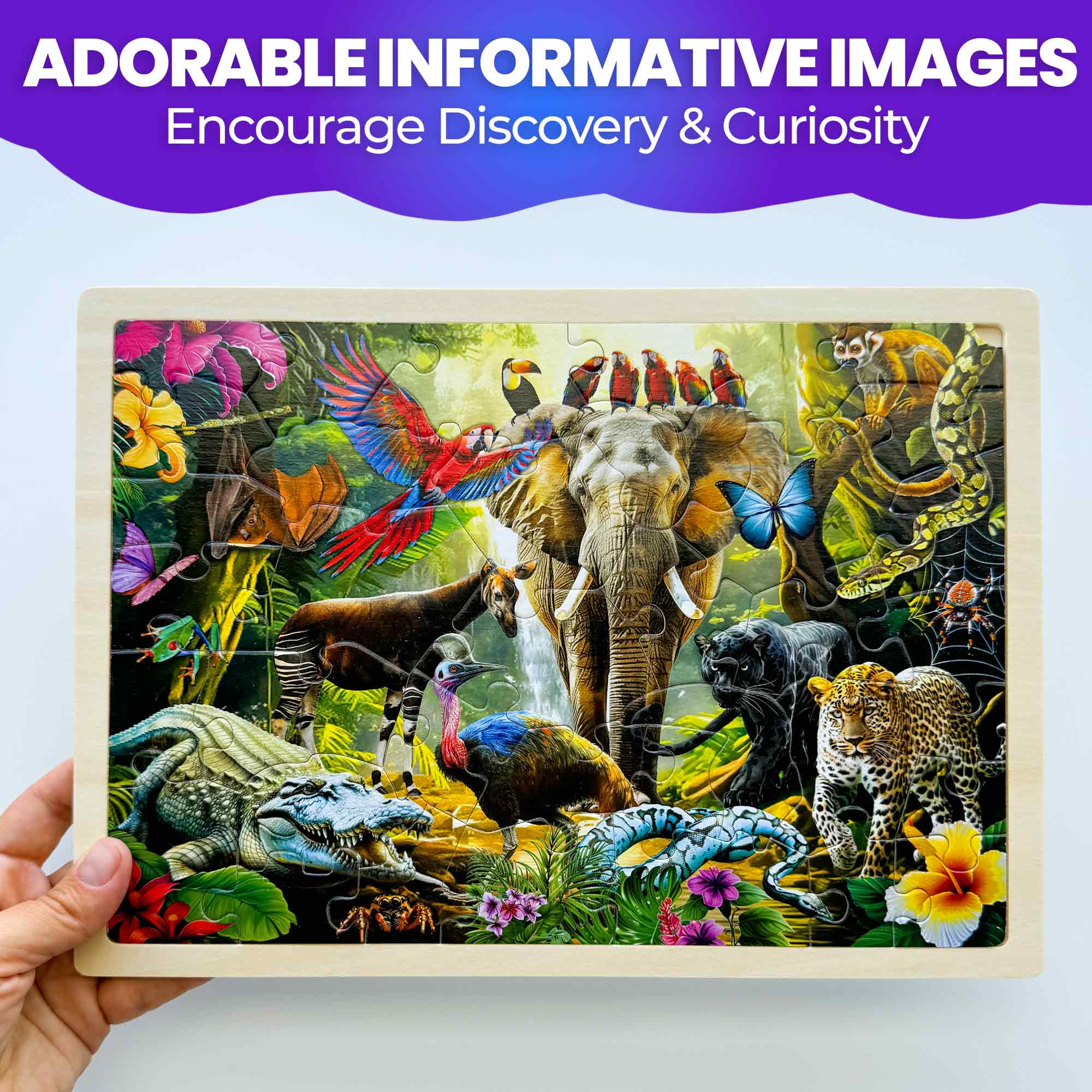 Yellowstone & Australian Animals Learning Games