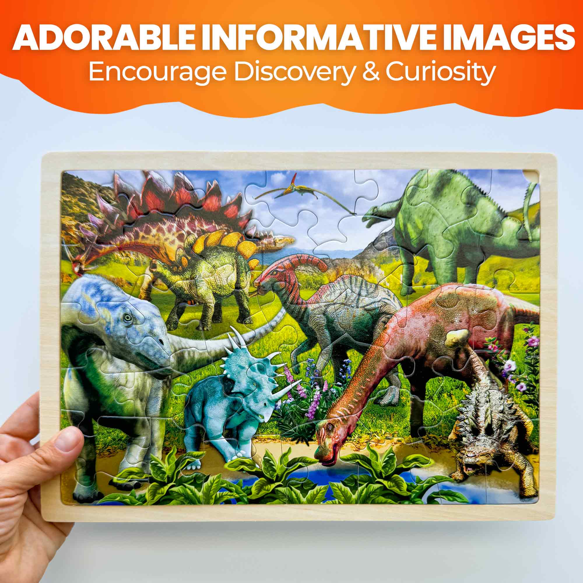 Dinosaurs Learning Games for Boys and Girls