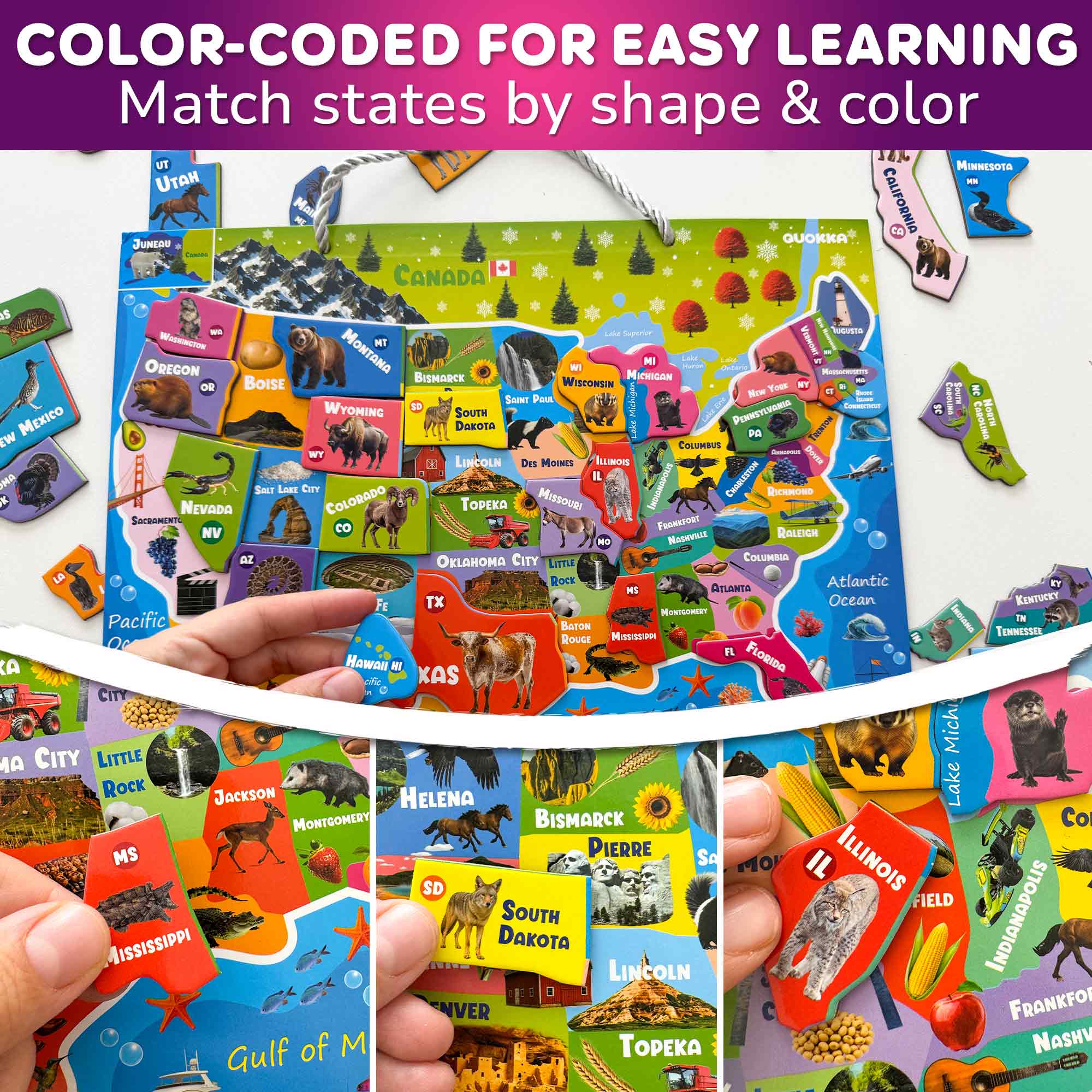 Magnetic Puzzles for Kids - Realistic USA Map