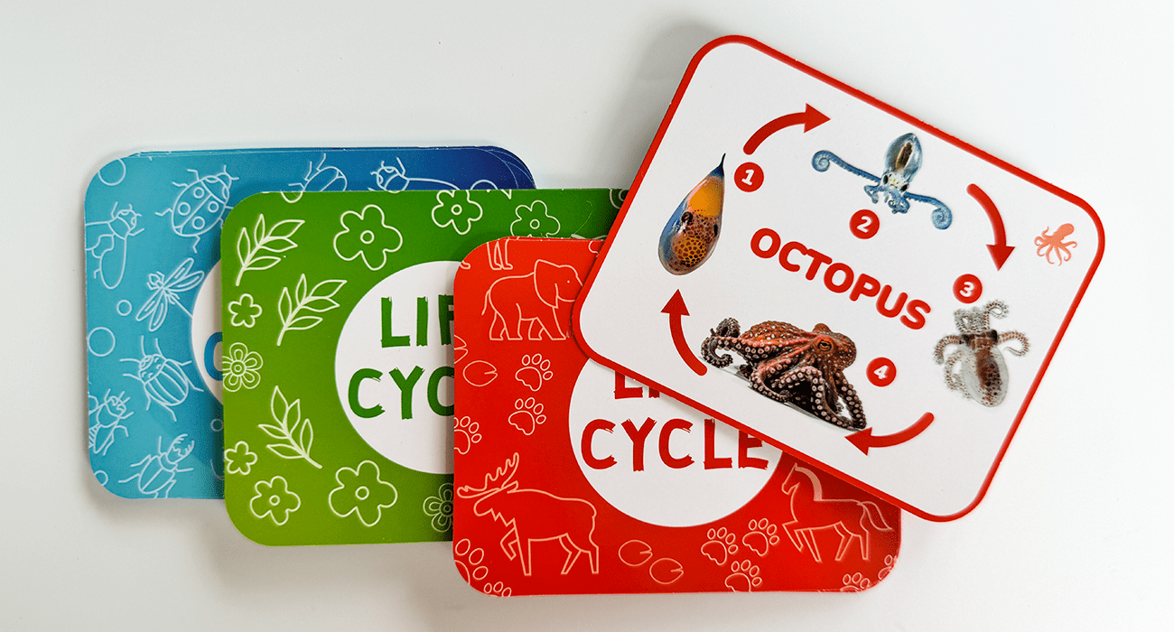 Educational Materials for Kids