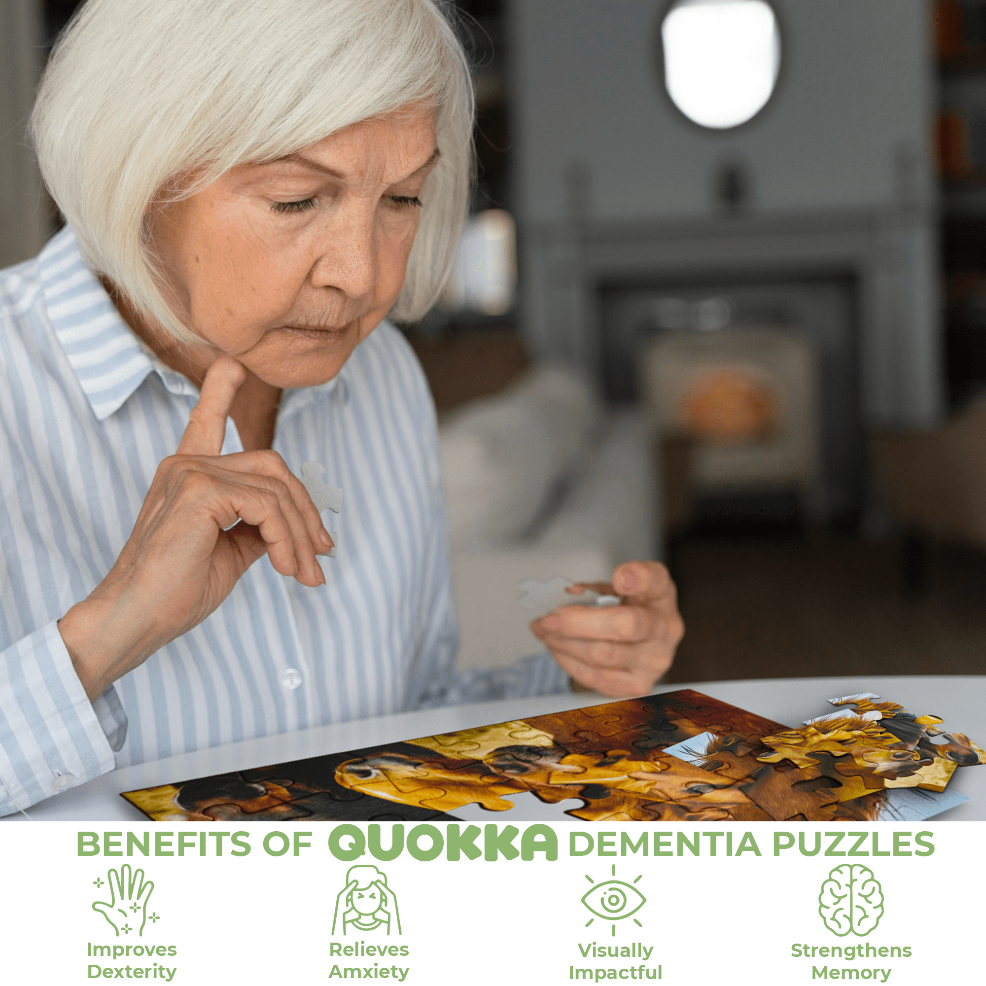 35 Piece Dementia Puzzles for Elderly | 3 Alzheimers Jigsaw Puzzle Games for Adults with Birds Steeds and Old City