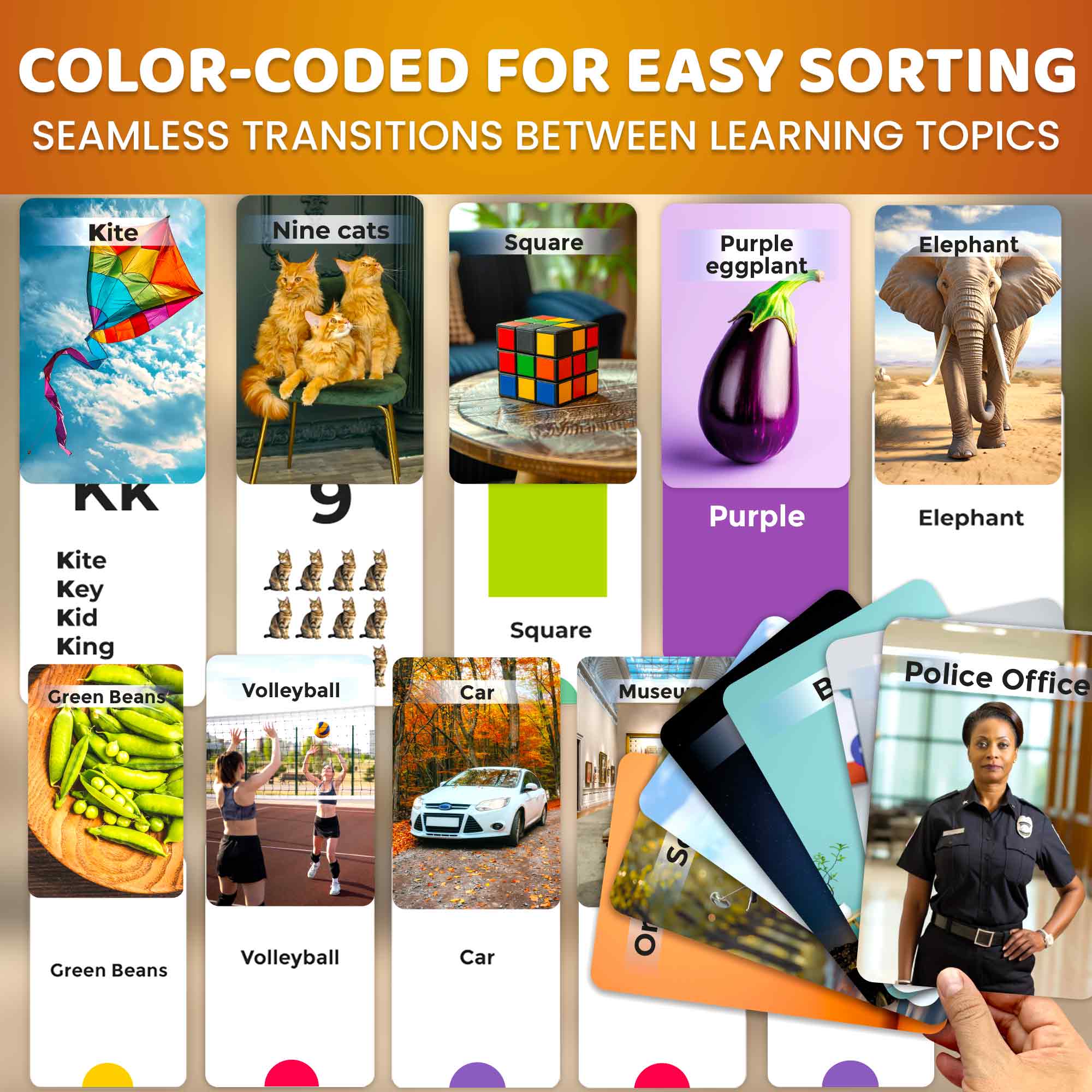 260 Flash Cards with Realistic Images for Kids