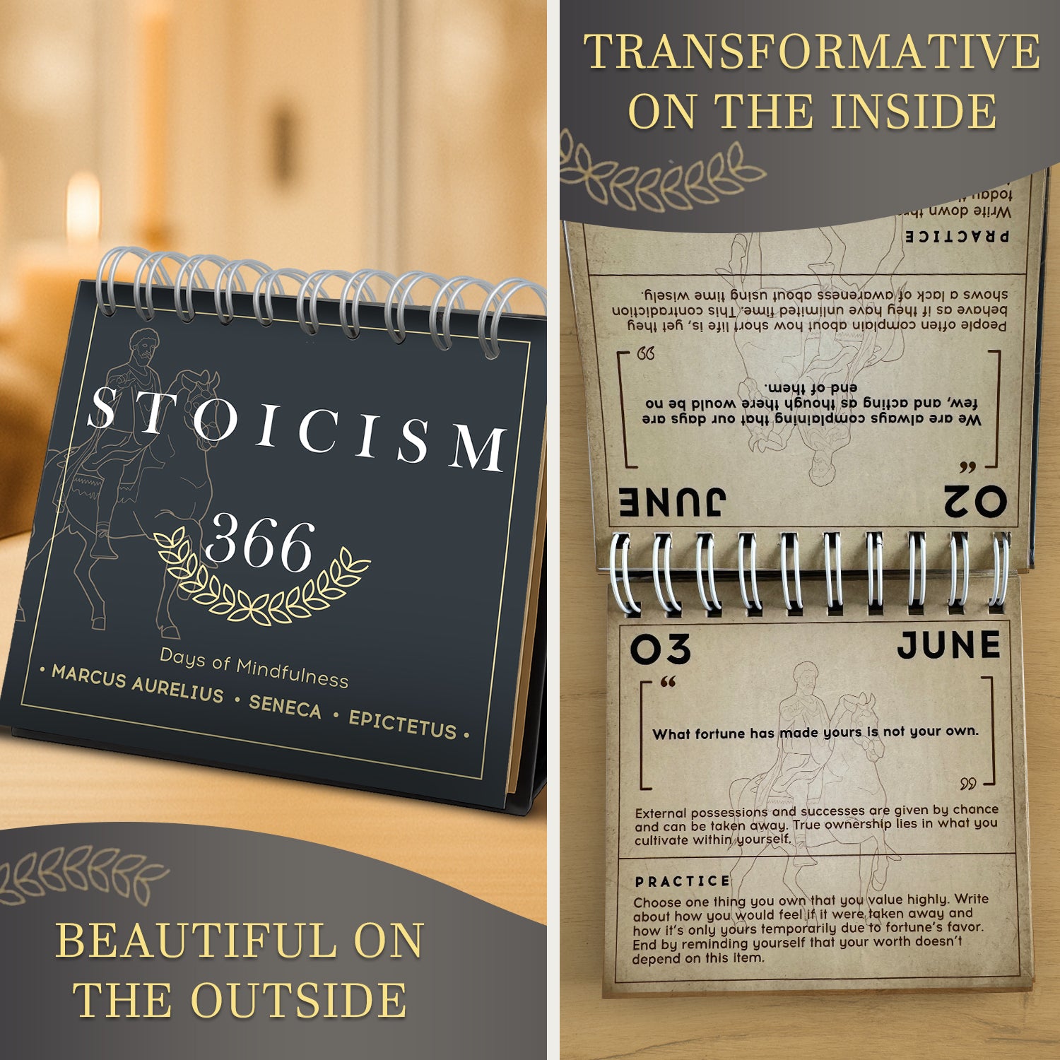 Stoicism Calendar For Adults – 365 Daily Quotes & Stoic Affirmations