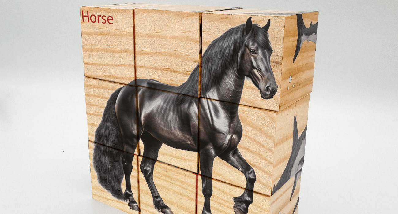 Wood Toys