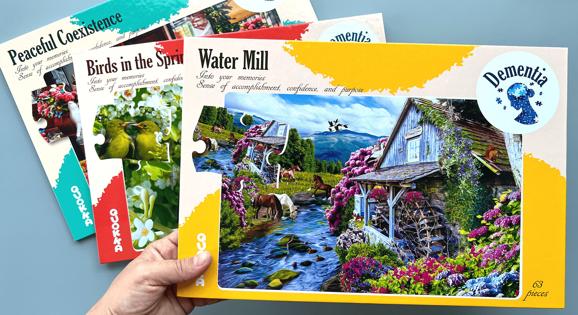 Dementia Puzzles 63 Puzzles