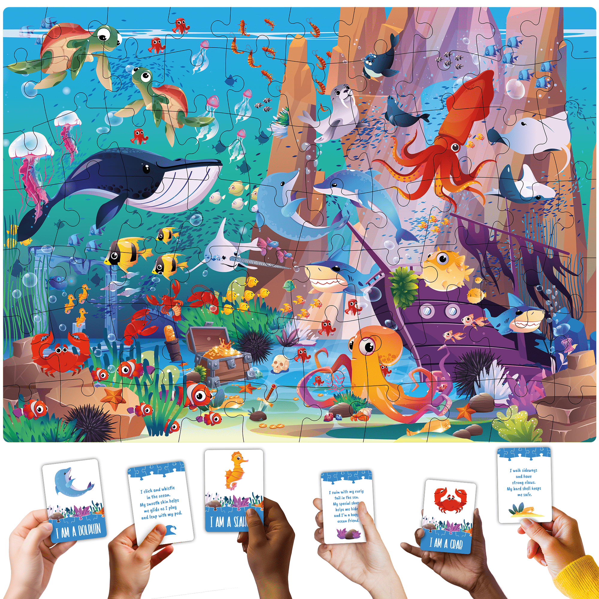 Search and Find Puzzles Ocean Animals