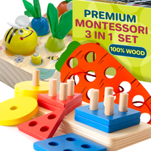 Load image into Gallery viewer, Montessori Toys Wooden Carrot Harvest

