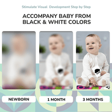 Load image into Gallery viewer, 60 Contrast Baby Flash Cards | Colors, Animals, Geometric Shapes &amp; Household Items
