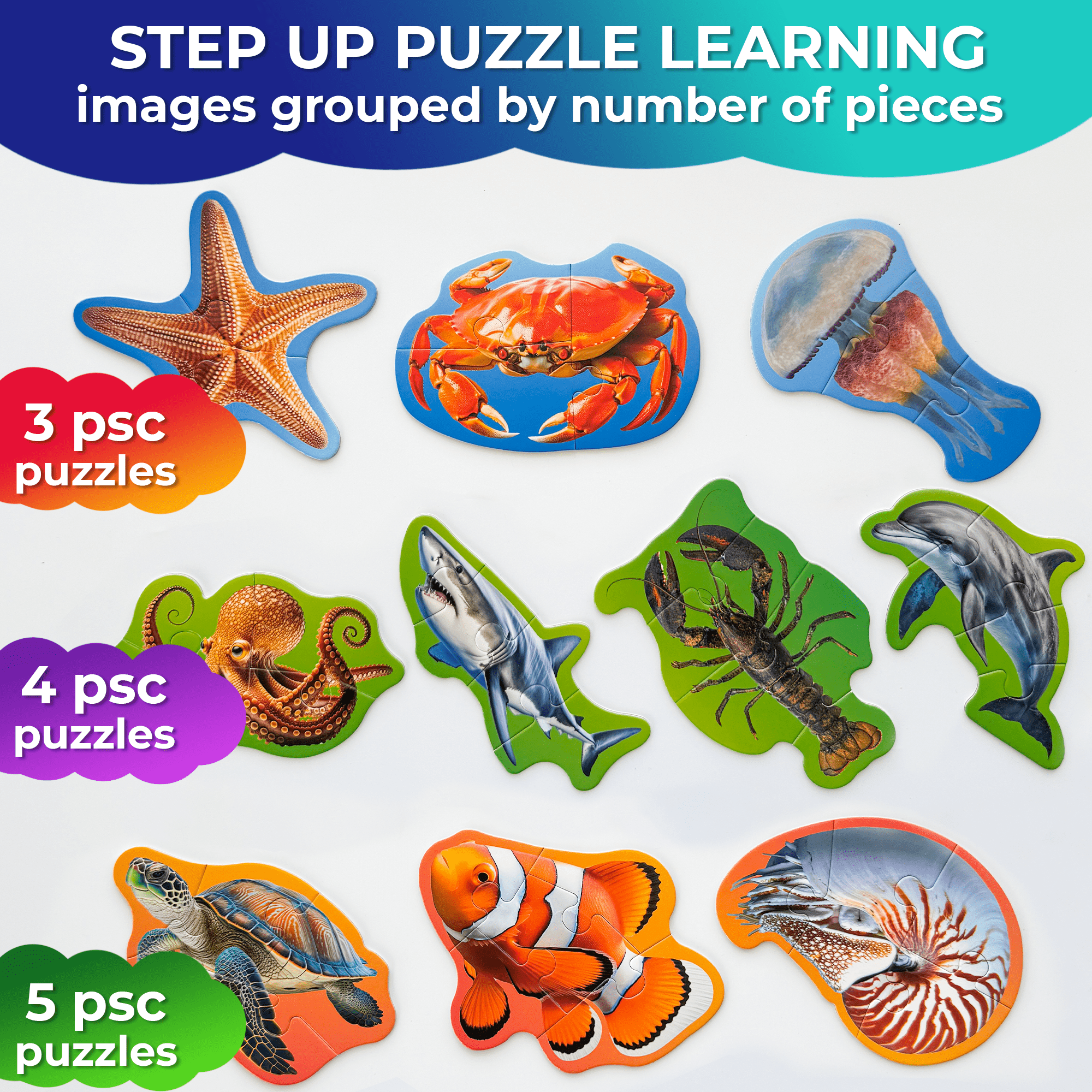 40 Piece Ocean Gift Learning Toy for Children