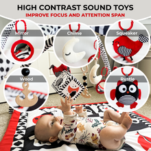 Load image into Gallery viewer, QUOKKA High Contrast Square Mat with Sound Toys
