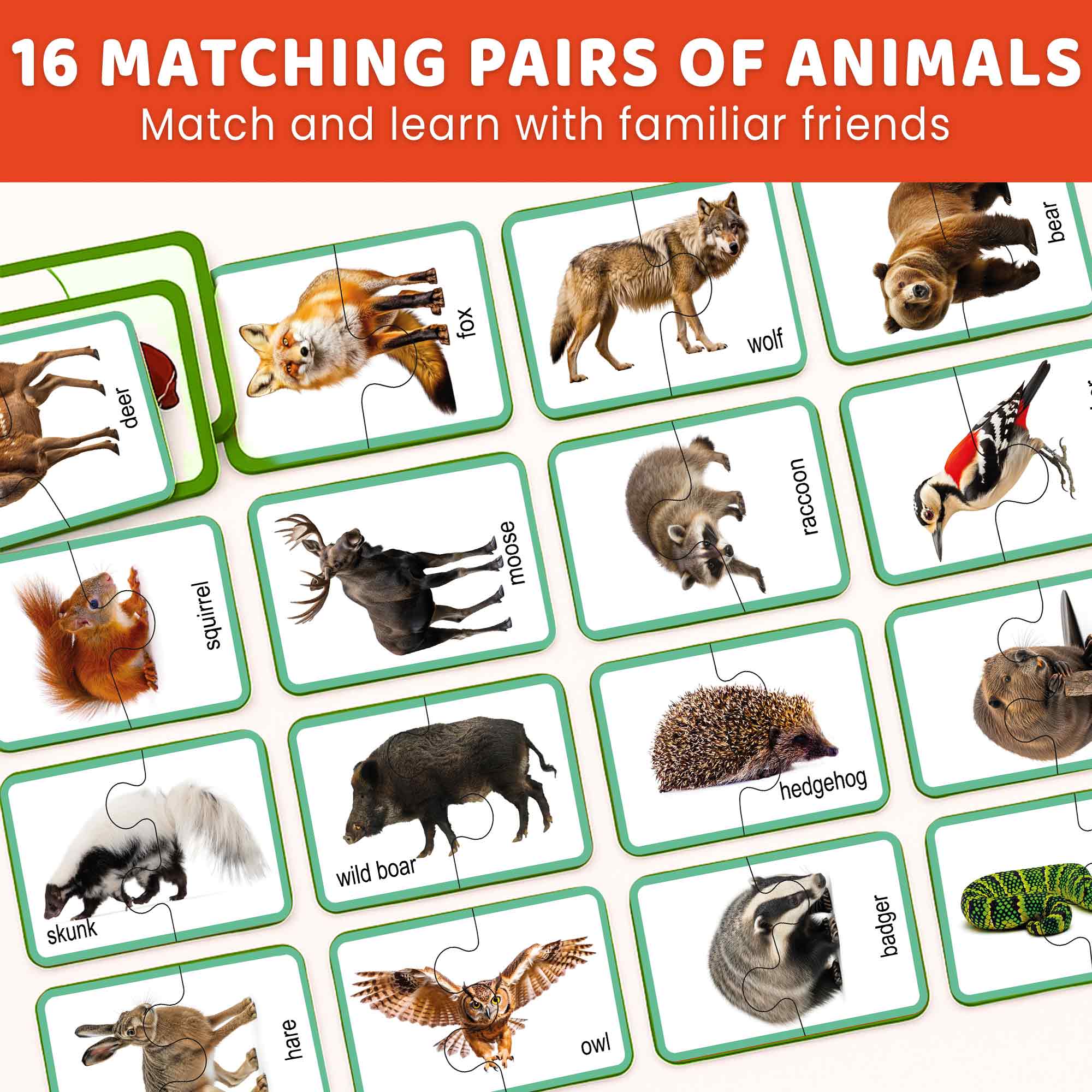 Matching Puzzle for Toddlers - 16 Realistic Pairs Forest Animals