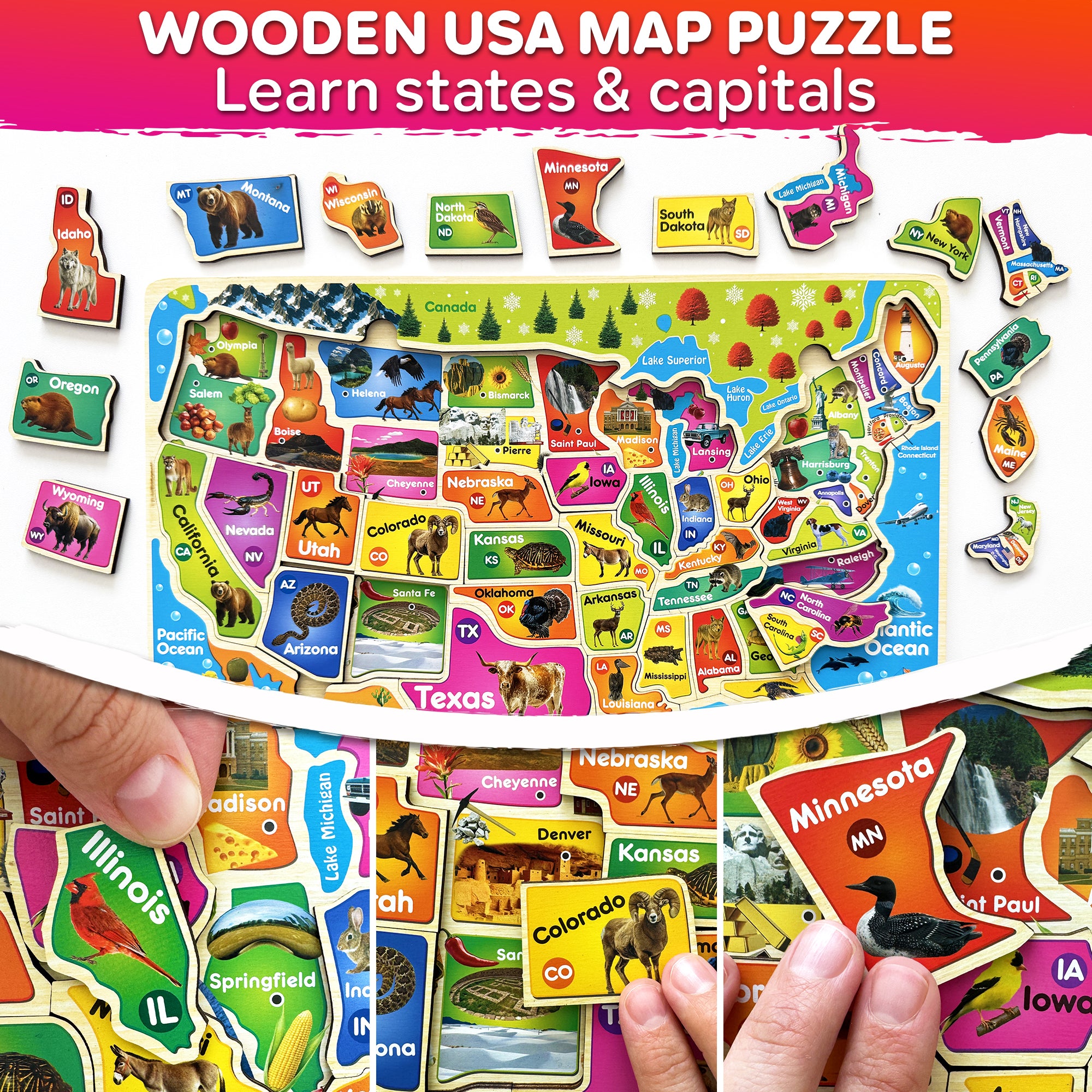 QUOKKA Wooden Puzzles for Kids - Realistic USA Map