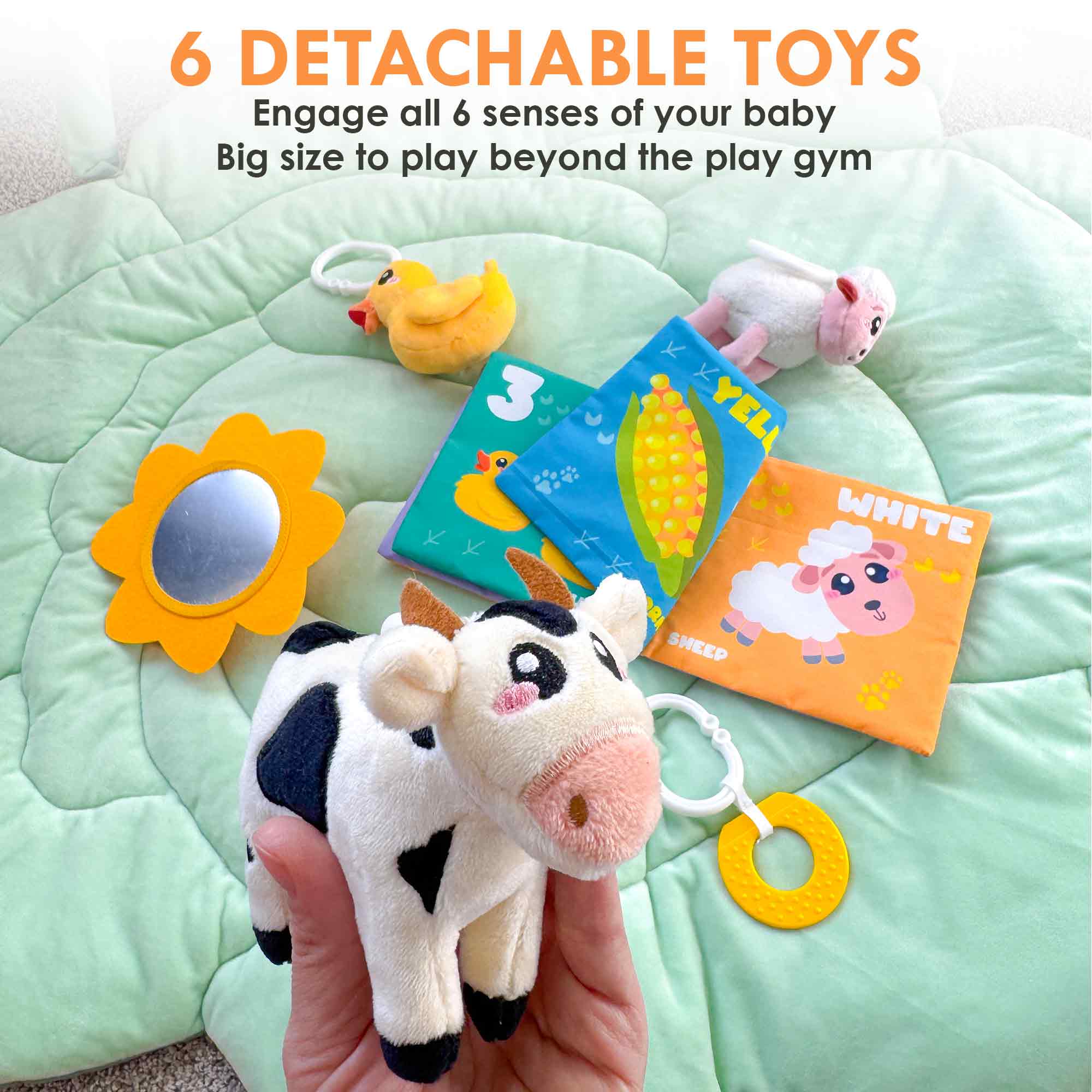 Play Mat with 6 Large Sensory Toys