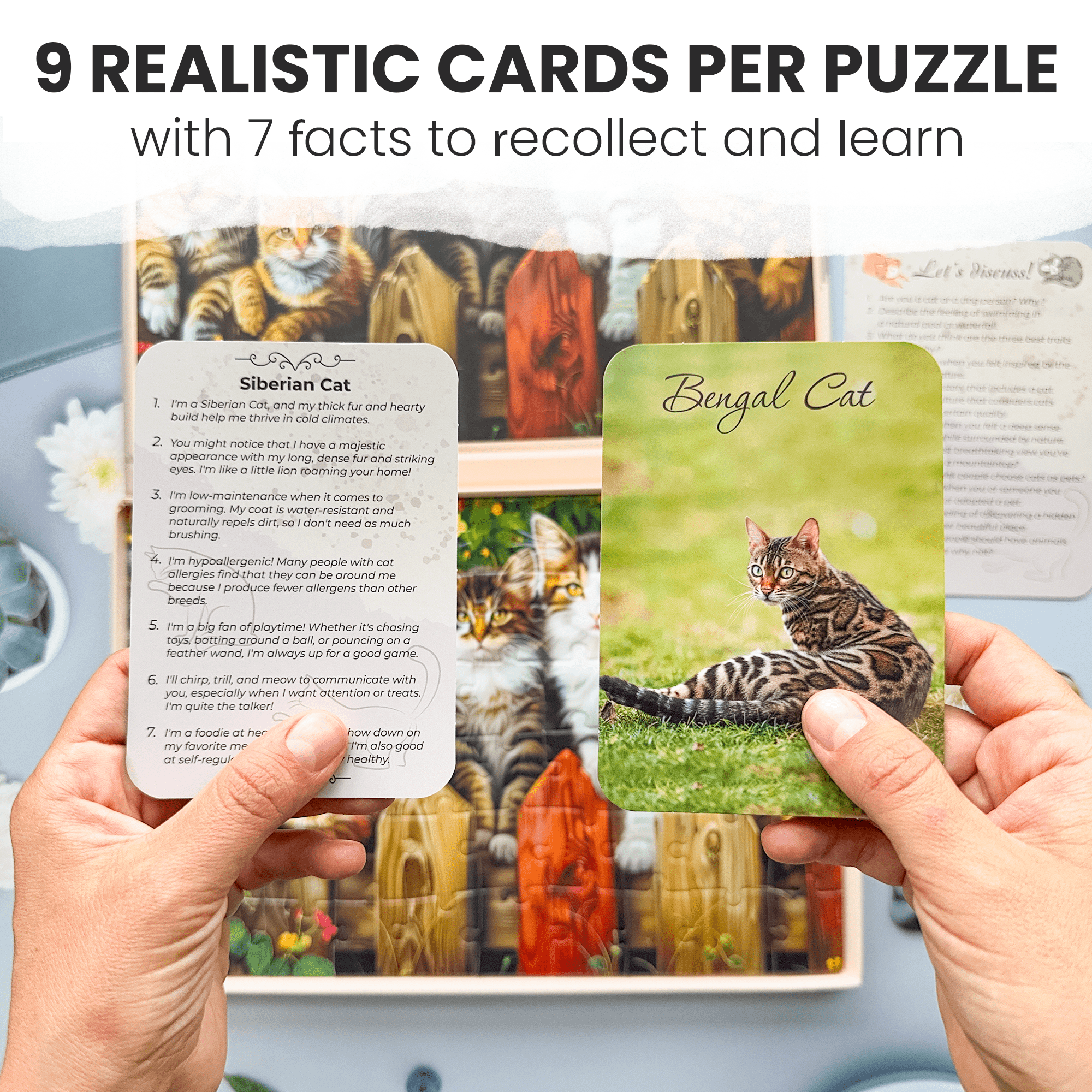 Alzheimers Jigsaw Puzzle Games for Adults  Gems of Nature