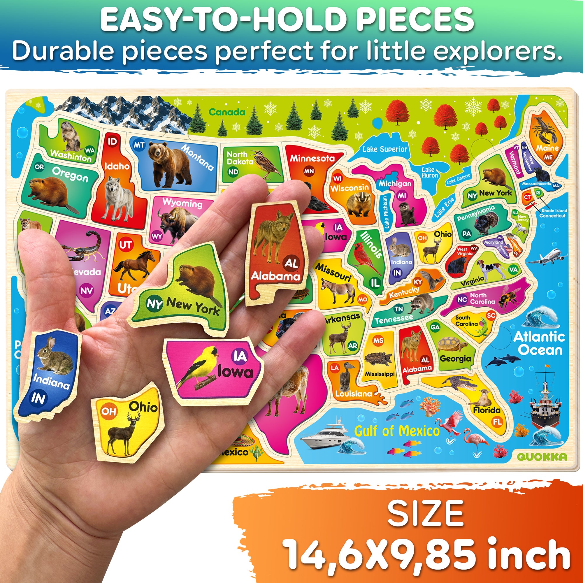 QUOKKA Wooden Puzzles for Kids - Realistic USA Map