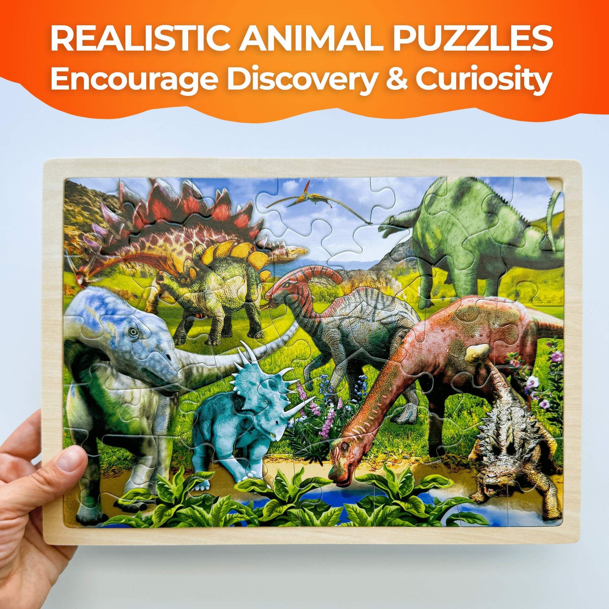 Dinosaurs Puzzle