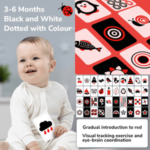 60 Contrast Baby Flash Cards | Colors, Animals, Geometric Shapes & Household Items