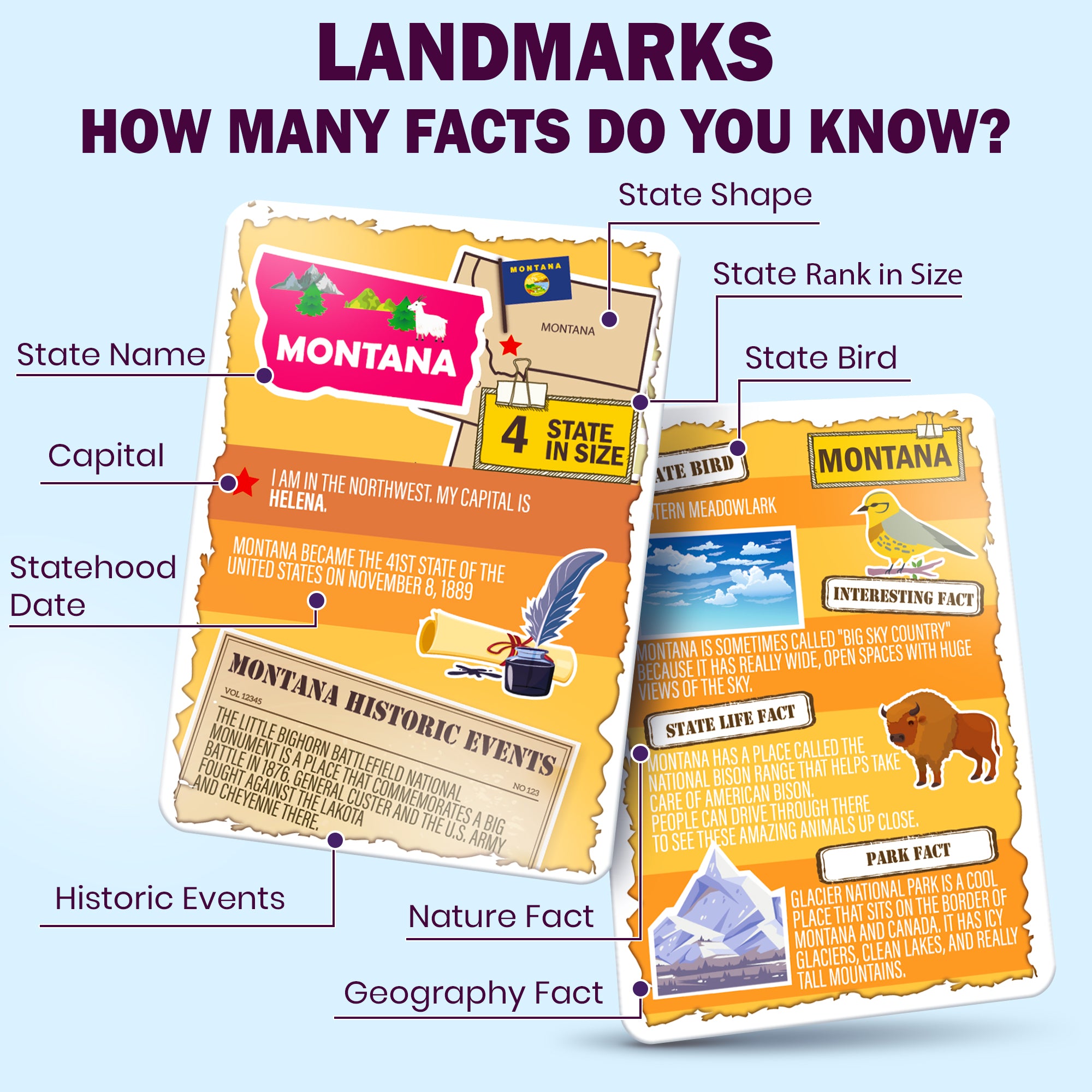 Geography Flash Cards – 338 World & USA Learning Cards