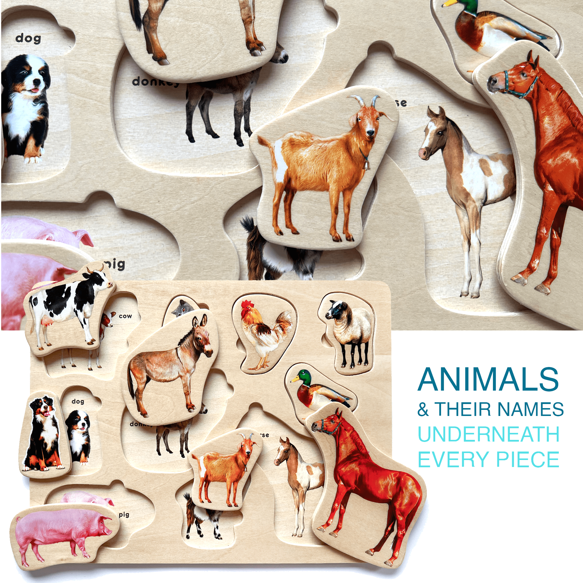 Toddler Puzzles Real Animal Wooden Set | Farm Ocean Wild Animals