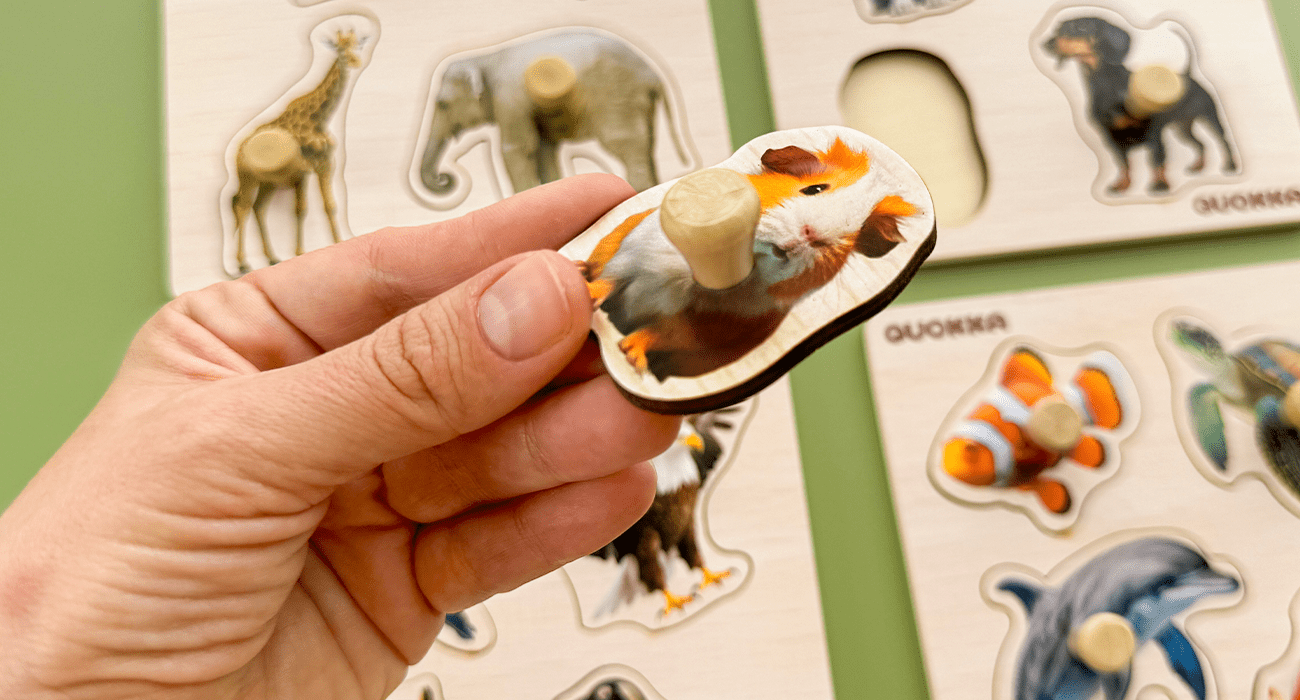 Wooden Puzzles with Animals