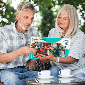 Cognitive Gifts Toys for Men and Women
