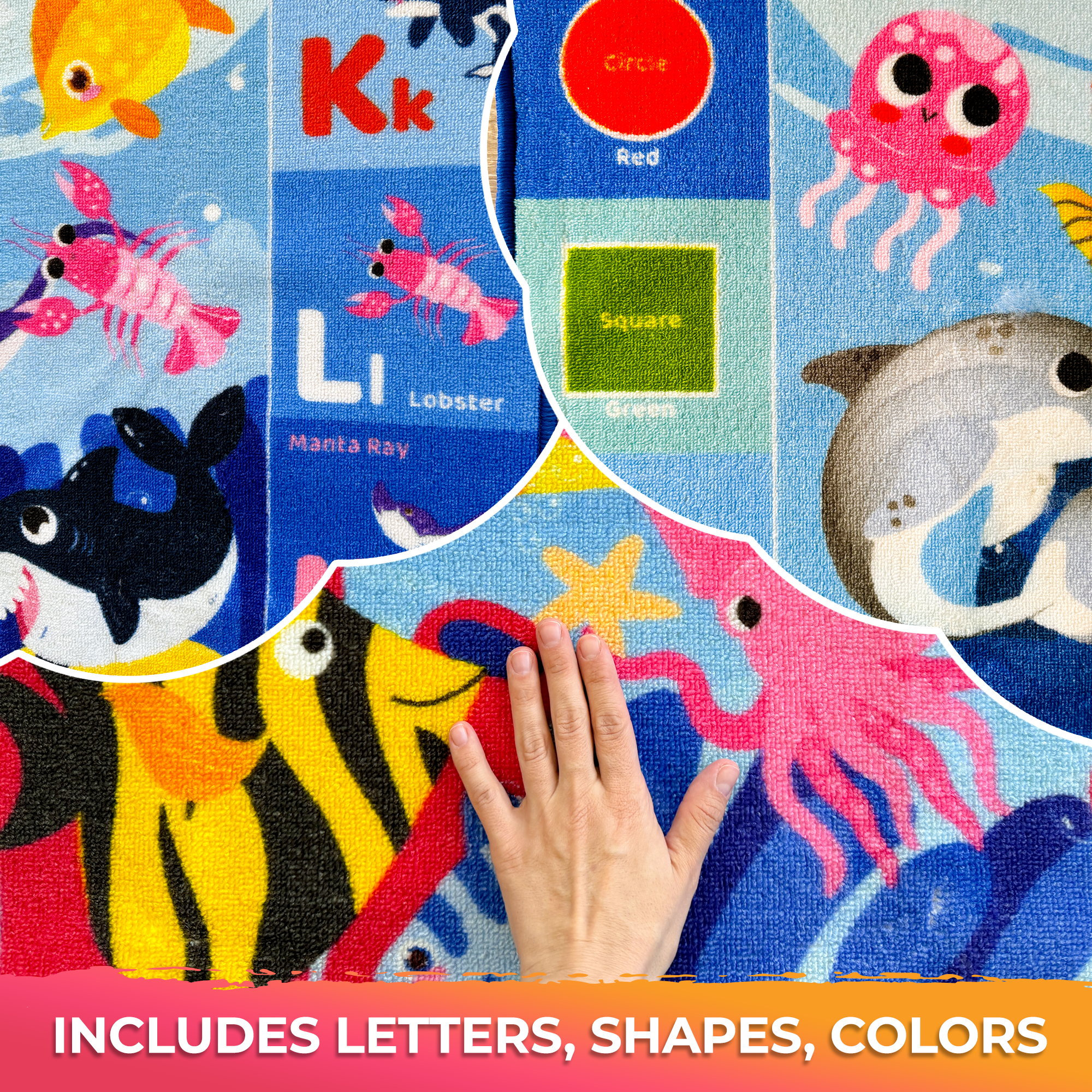 Small Classroom Ocean Rug for Kids - 59x39 ABC Rugs for Playroom