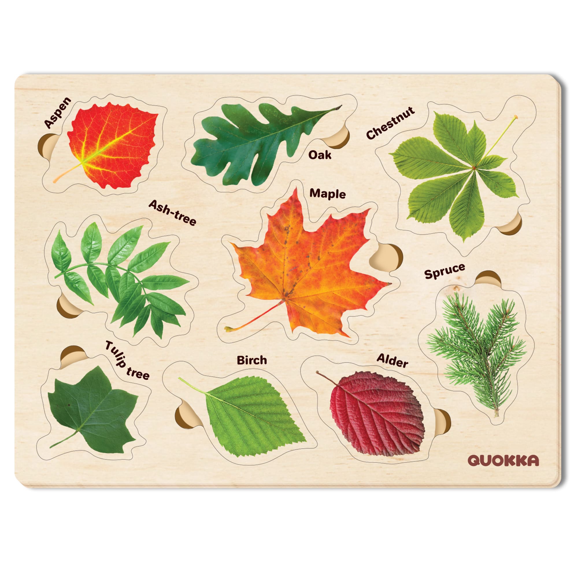 Wooden Puzzles Set for Toddlers | Mushrooms Flowers Leaves - QUOKKA