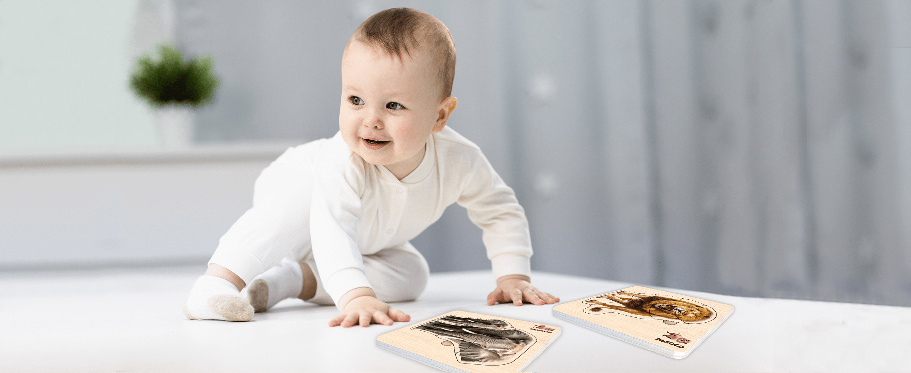 Montessori Toddler Toys