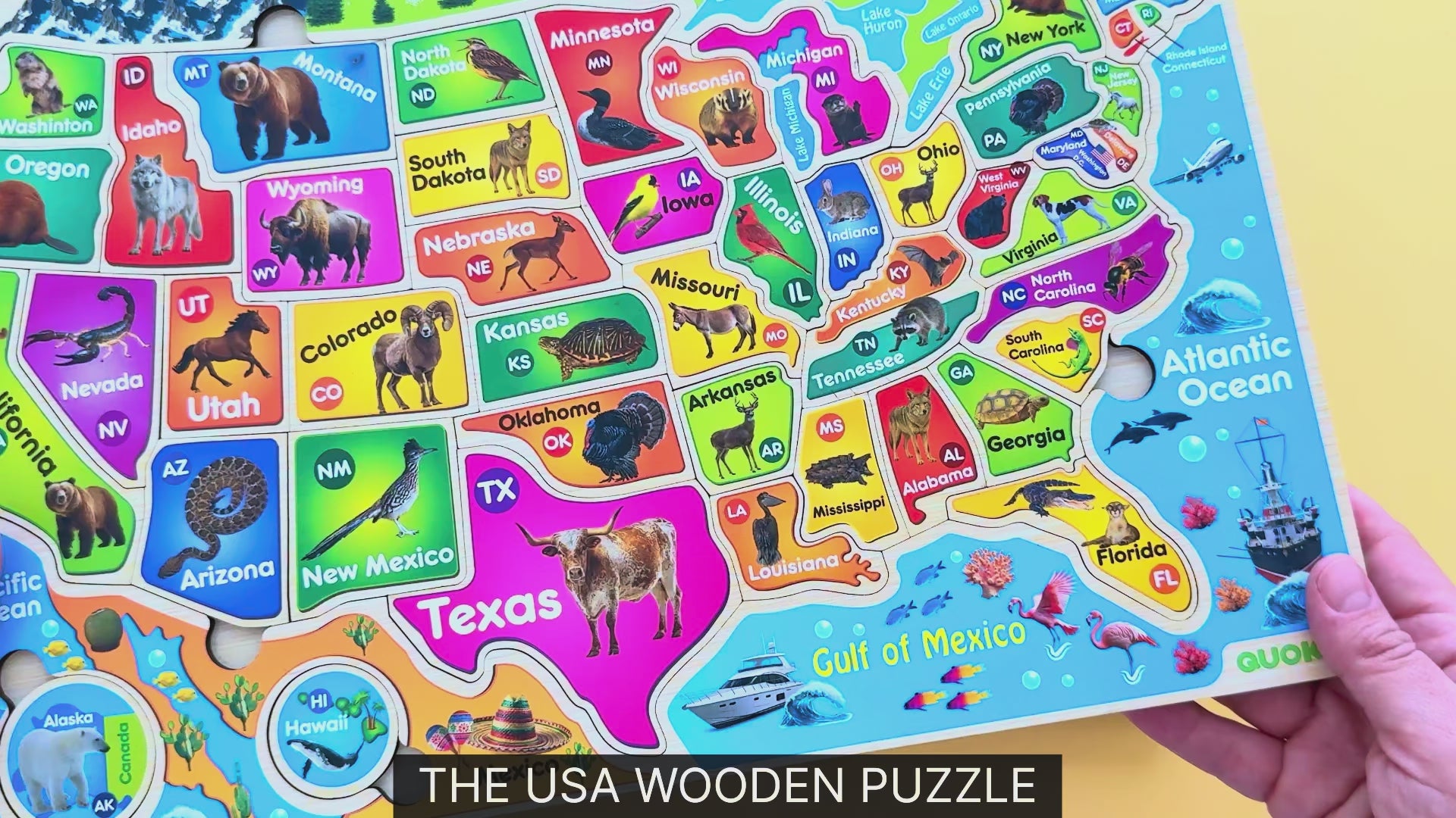 QUOKKA Wooden Puzzles for Kids - Realistic USA Map